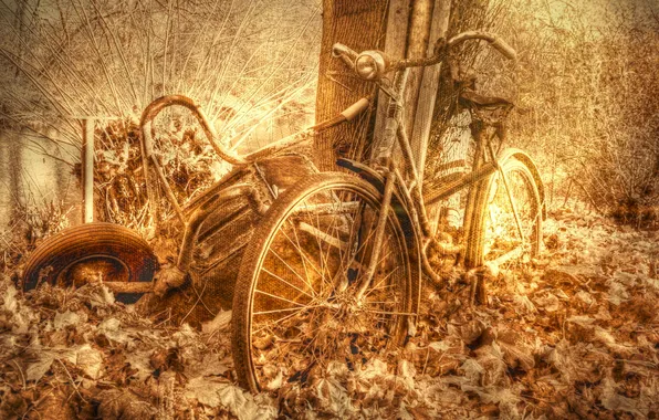 Picture bike, background, texture