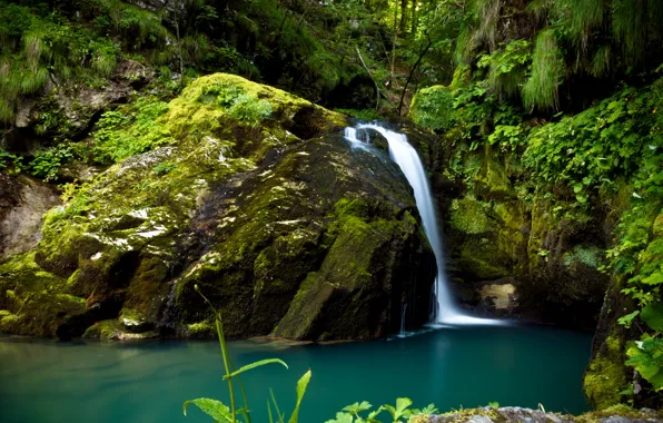 Picture greens, forest, stones, waterfall, moss, Croatia