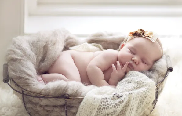 Basket, sleep, girl, baby