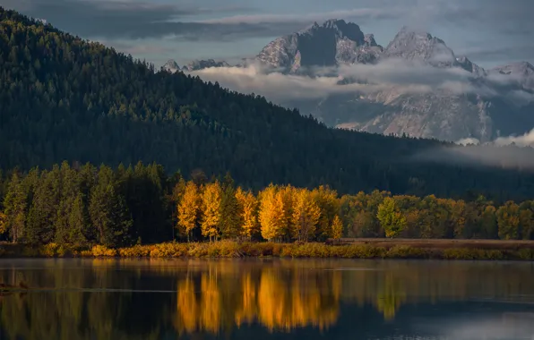 Autumn, forest, mountains, morning, USA, Wyoming, Grand Teton national Park, Oxbow Bend