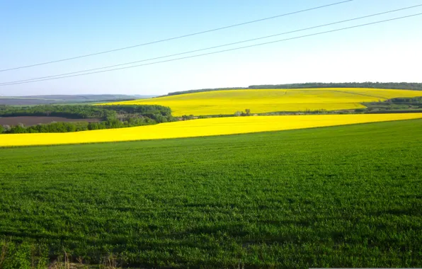 Picture the sky, grass, beauty