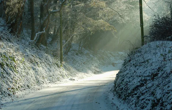 Picture winter, road, light, nature, morning, turn