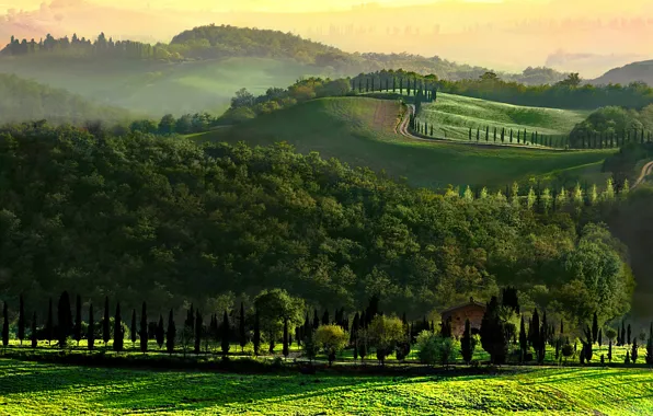 Road, trees, hills, morning, Italy, Tuscany