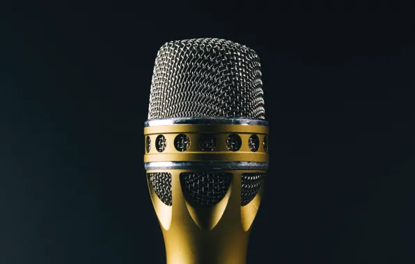 Picture macro, background, microphone, singing