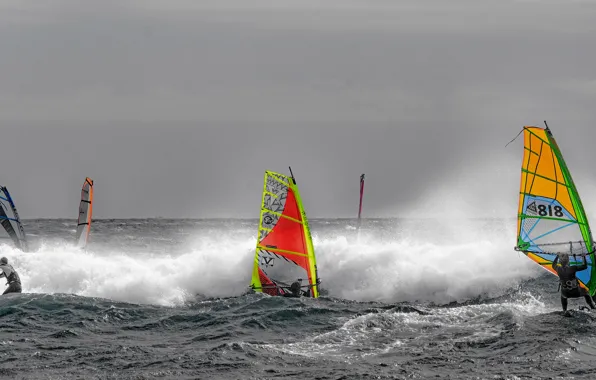Sea, wave, the wind, Board, sail, Windsurfing, regatta