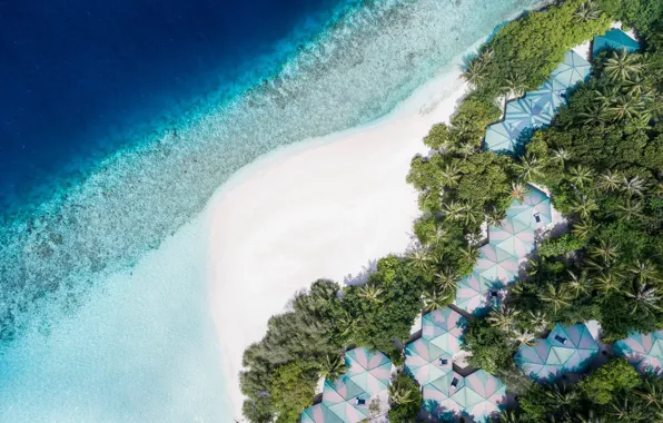Beach, palm trees, the ocean, top, The Maldives, resort, Maldives, Embudu Village
