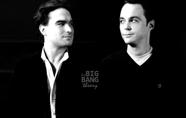 Picture the series, actors, The big Bang theory