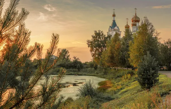 Picture landscape, nature, pond, village, Church, Elena Guseva, Gestilevo