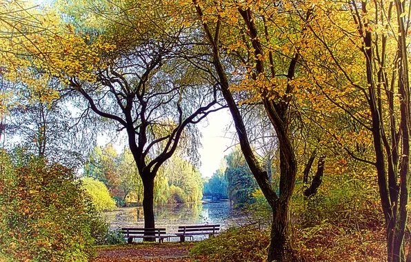 Autumn, lake, Park, benches