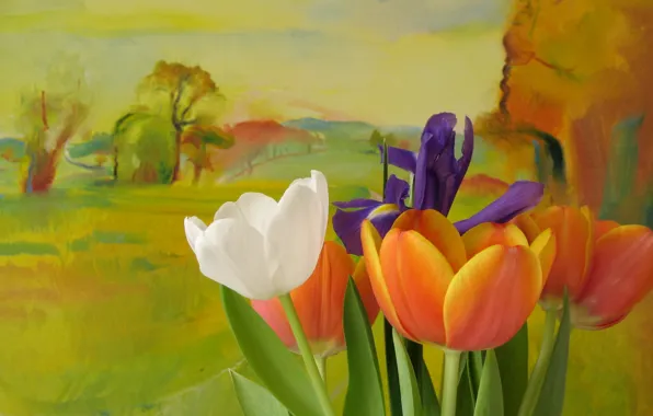 Picture flowers, style, background, tulips