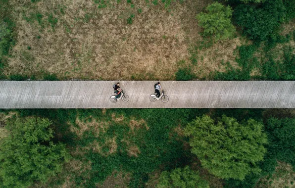 Trees, Park, people, landscape, Canada, track, Montreal, Canada