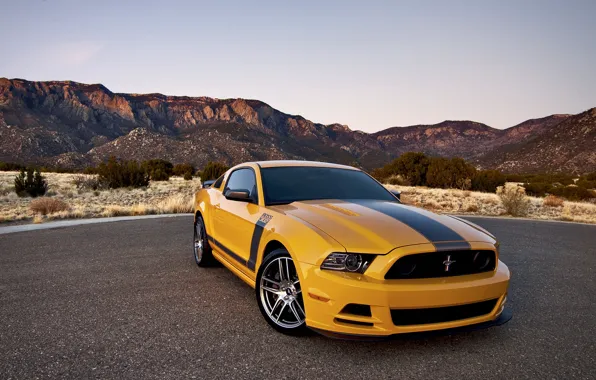 Car, Ford, ford mustang, rechange, boss 302