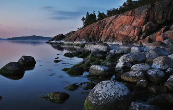 Forest, mountains, stones, shore, pond