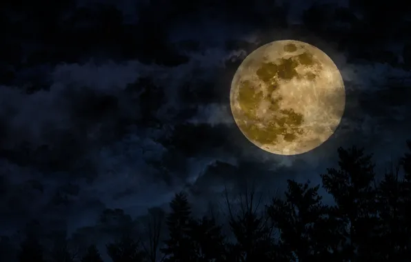 The sky, clouds, trees, the moon, satellite