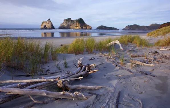 New Zealand, Nelson beach, Wharariki