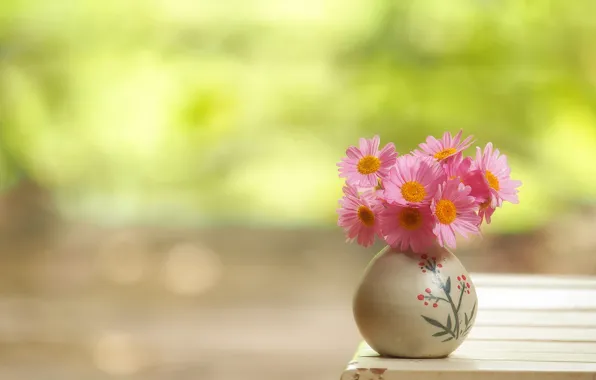 Picture vase, a bunch, bokeh, Persian chamomile, feverfew