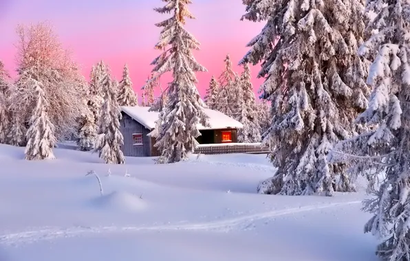 Picture winter, the sky, snow, trees, landscape, mountains, nature, house