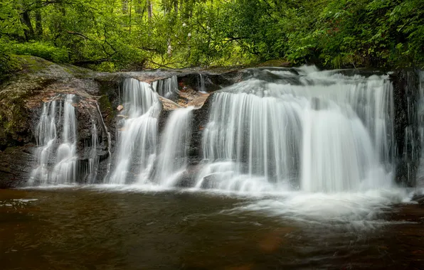 Greens, forest, branches, stones, rocks, shore, foliage, waterfall