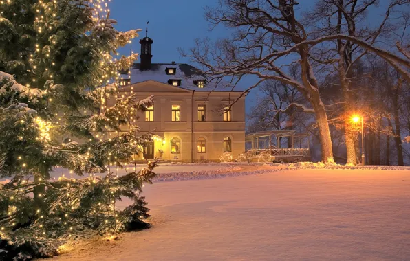Winter, decoration, holiday, Villa, tree, Christmas, New year