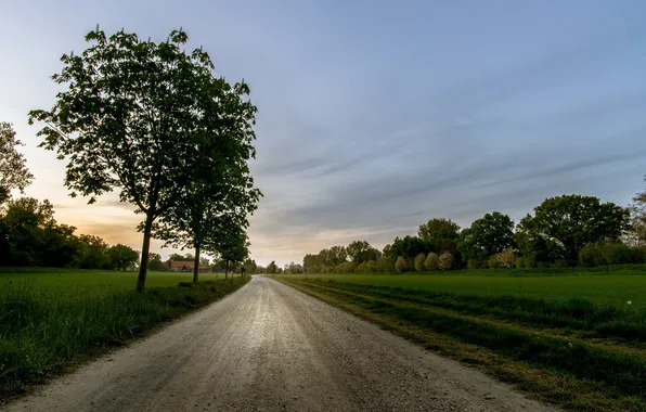 Picture road, the sky, trees
