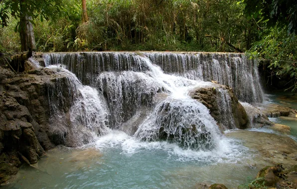 Forest, tropics, stones, waterfall, jungle, the bushes, Kuang Si Falls, Laos