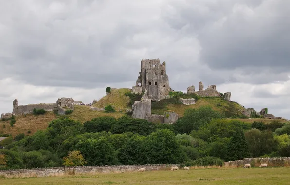 The ruins, ruins, Corfe Castle, Dorset, Corfe castle, the South of England, the hills of …