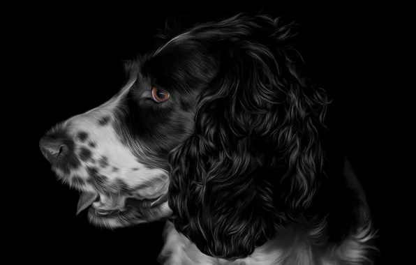 Picture the dark background, painting, doggie