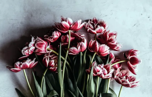 Flowers, bouquet, tulips