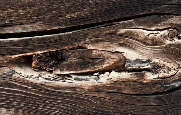 Background, Board, texture