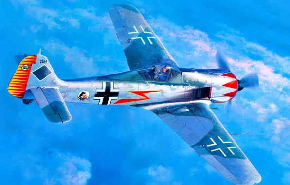 Fw-190, Focke-Wulf, Fw.190A-5, JGr 50, Major Hermann Graf