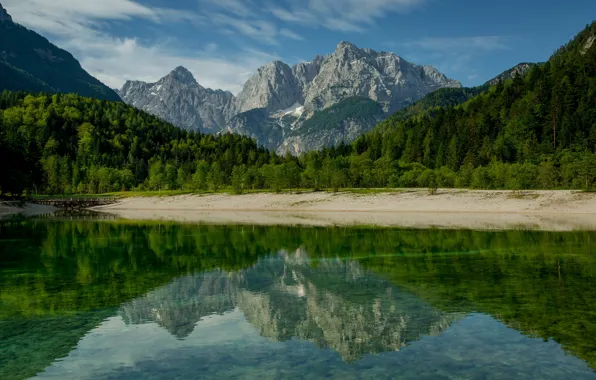 Picture forest, beach, summer, the sky, clouds, mountains, lake, reflection