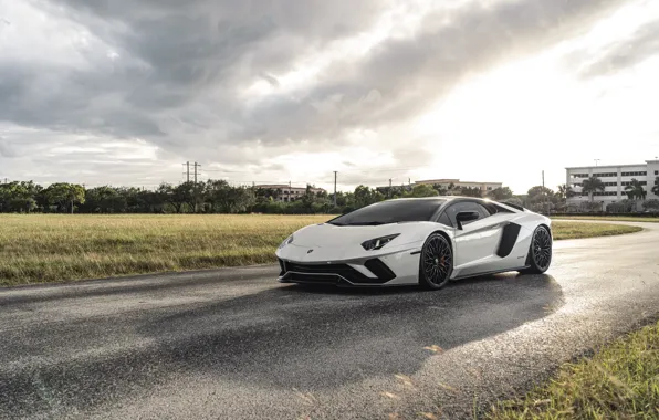 Picture Lamborghini, Clouds, Sky, Grass, White, Aventador, VAG