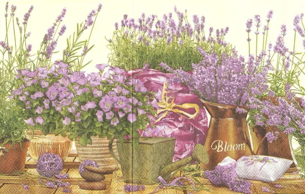 Picture purple, bells, lavender, Purple flowers