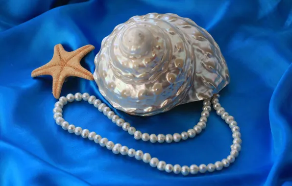 Picture nature, shell, fabric, pearl, beads, blue background