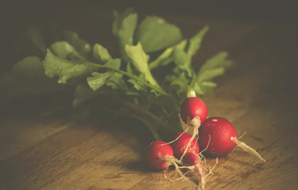 Table, shadow, radishes, vegetable