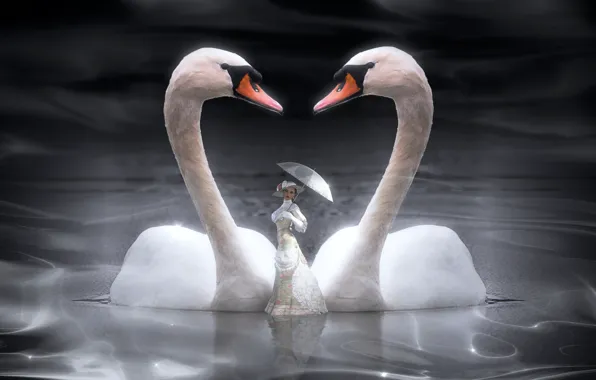 Girl, birds, umbrella, pair, swans, in white, lady, lady