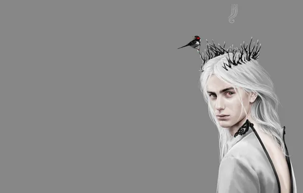Face, Minimalism, guy, shoulders, white hair, horns