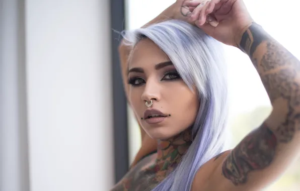 Picture look, sweetheart, piercing, tattoo, tattoo, Suicide Girls, Fishball Suicide, purple hair