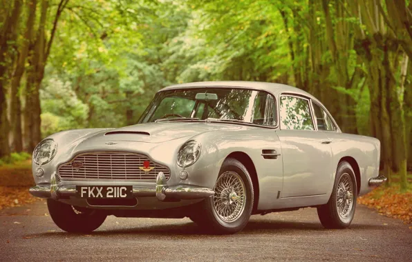 Picture Aston, Martin, Car, DB5