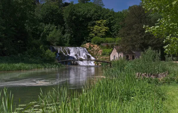 Forest, the sky, trees, Park, river, waterfall, home