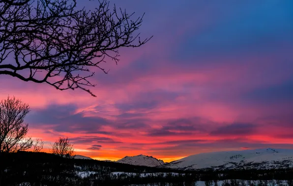 Winter, the sky, clouds, snow, sunset, mountains, tree, silhouette