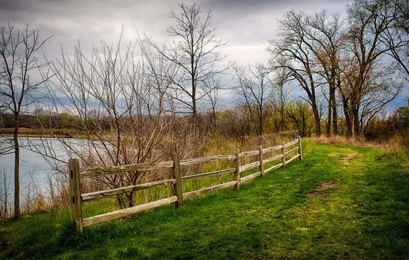 The sky, trees, nature