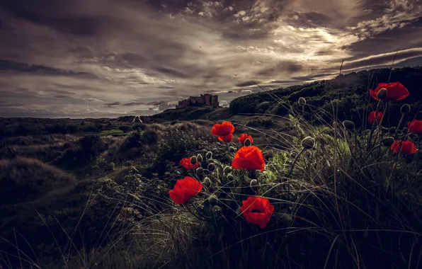 The sky, clouds, light, flowers, clouds, castle, hills, Maki