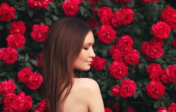 Girl, flowers, face, portrait, roses, profile, shoulders, long hair