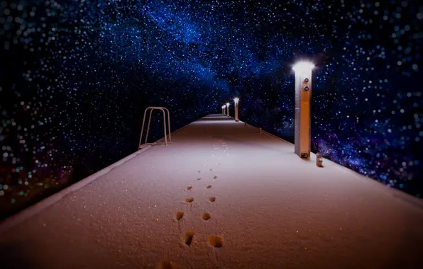 Picture winter, snow, night, trail