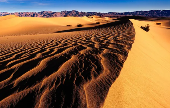 Light, desert, dunes, shadows, Sands, relief