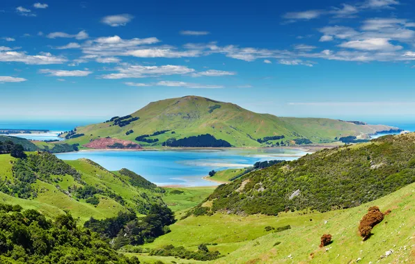 Sea, trees, mountains, nature, Bay, the sea, the nature, the trees
