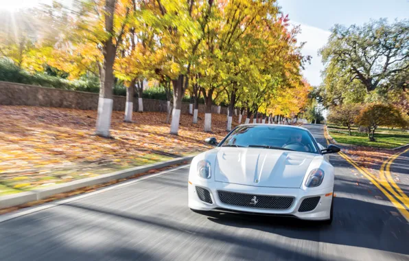 Picture car, Ferrari, white, road, 599, trees, Ferrari 599 GTO