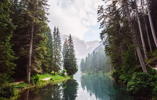 Forest, water, clouds, trees, mountains, reflection, river, rocks
