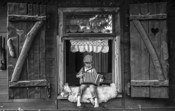 Home, boy, accordion